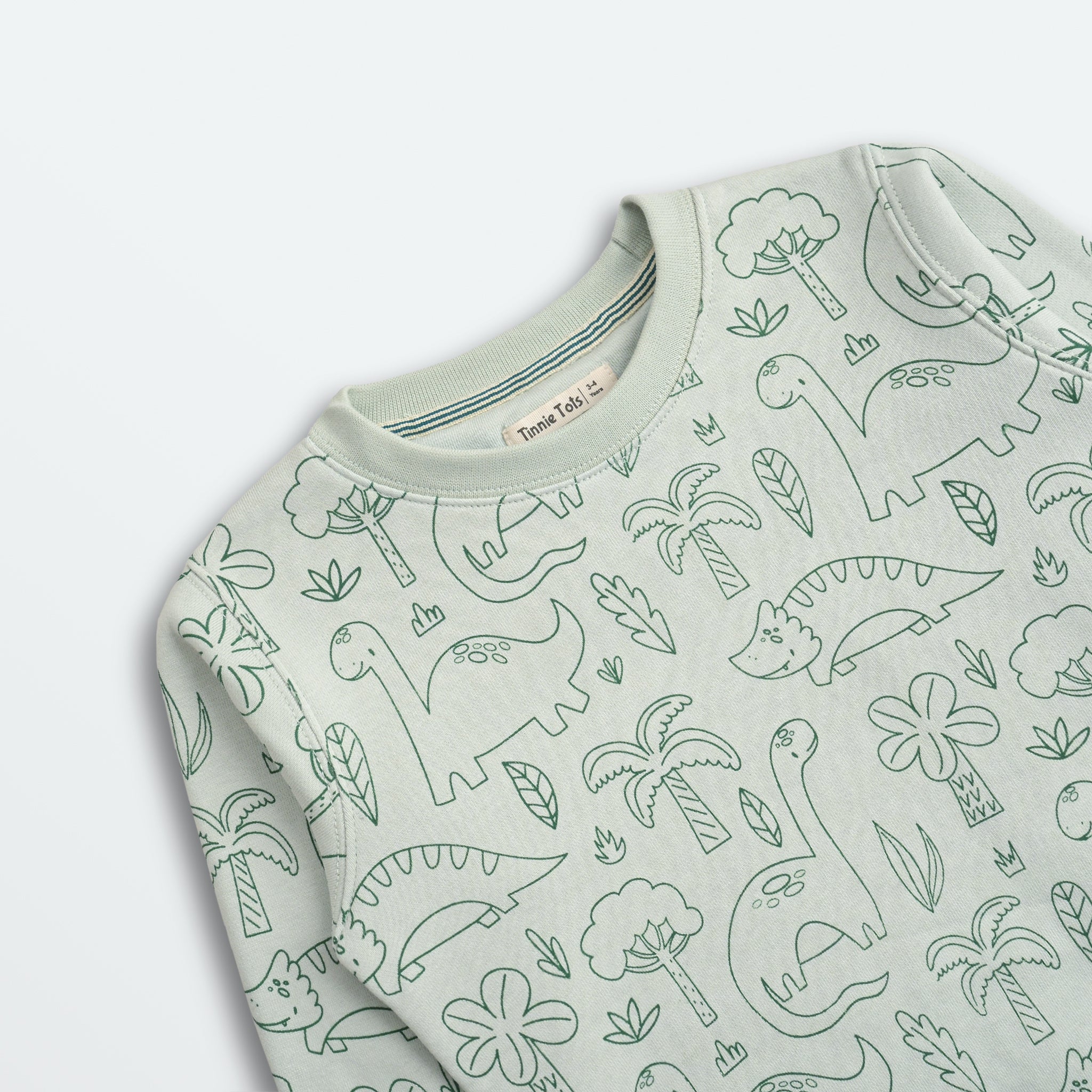 Dino Dude Fleece 2Pc Set