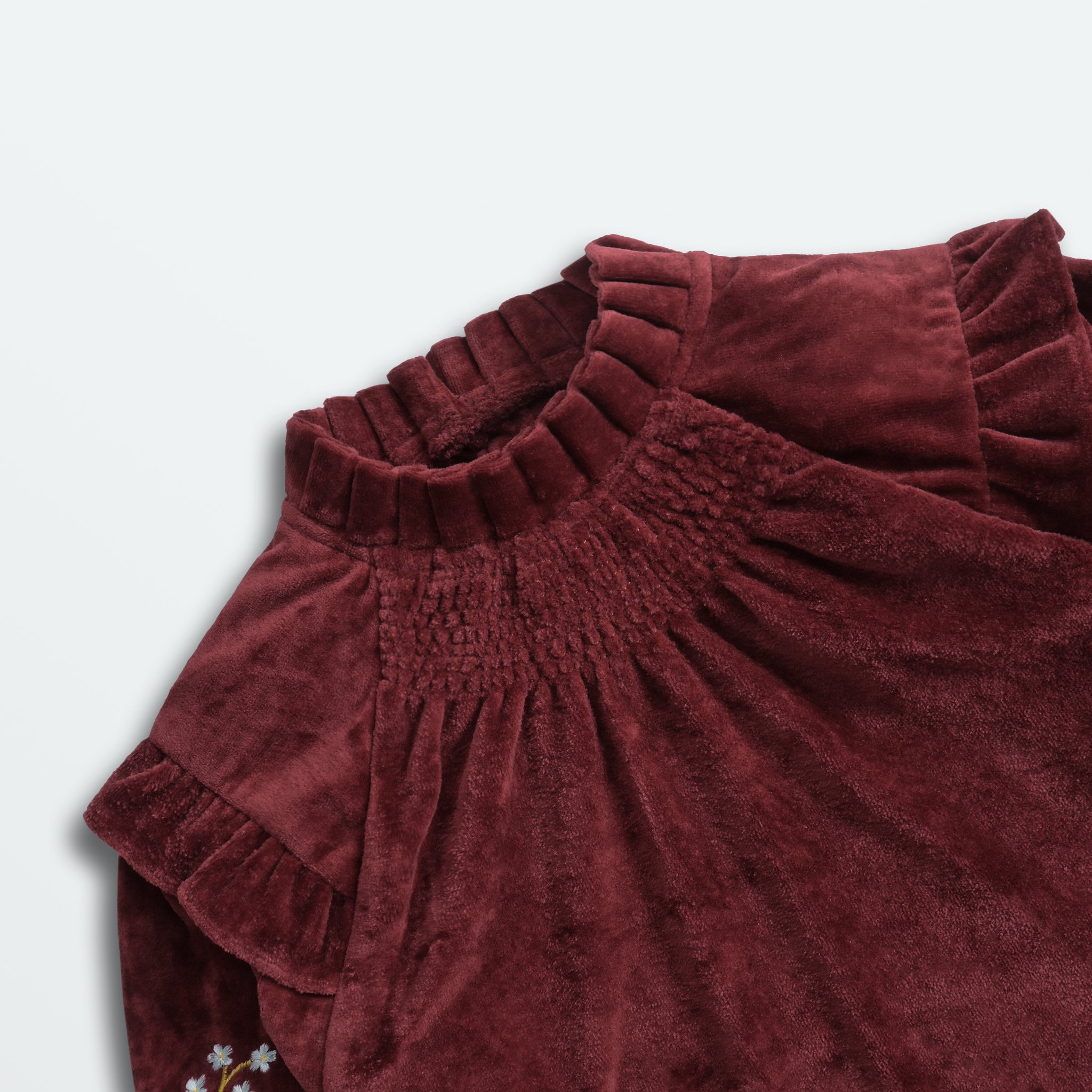 Velvet Embroidered Dress