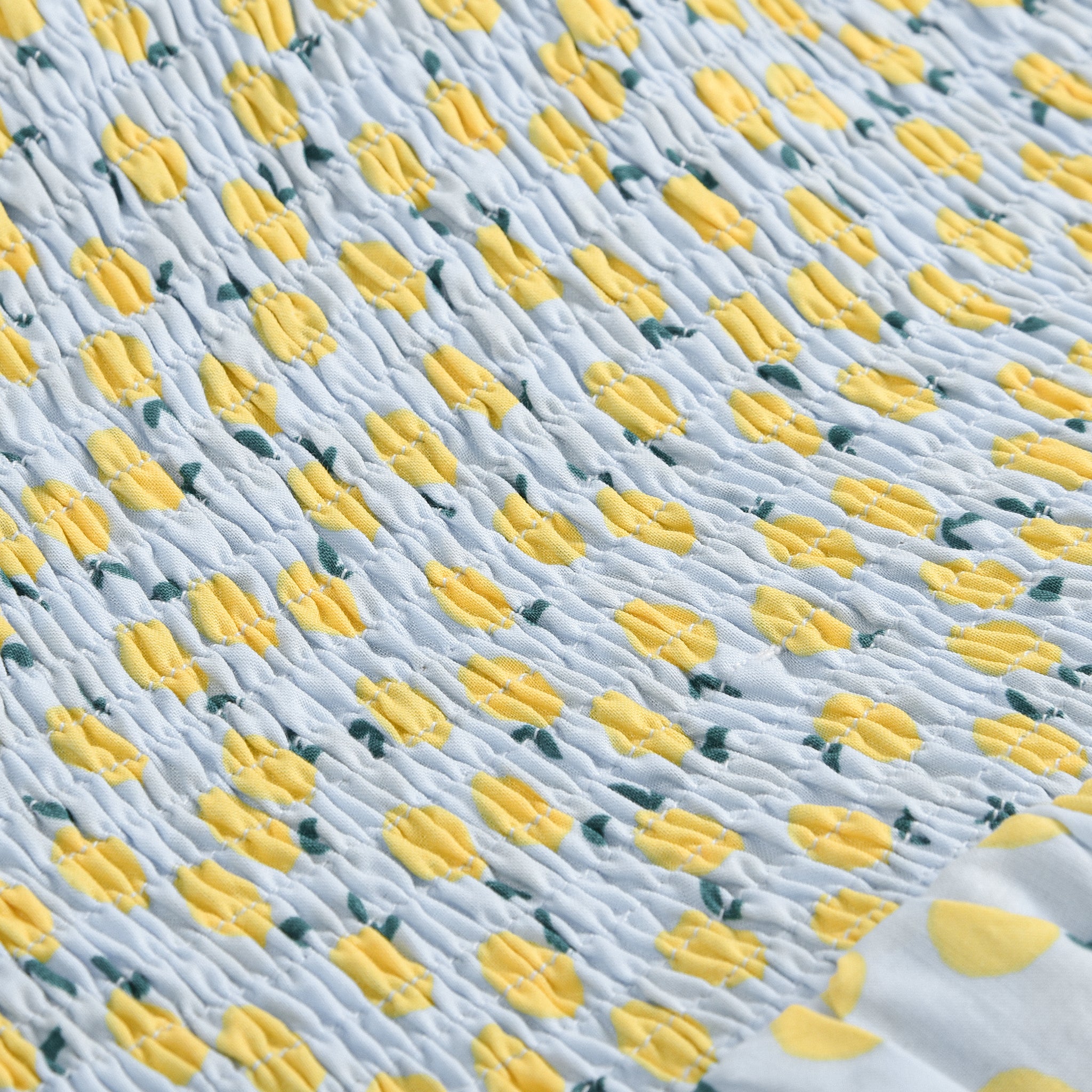Lemon Garden Smocking Dress
