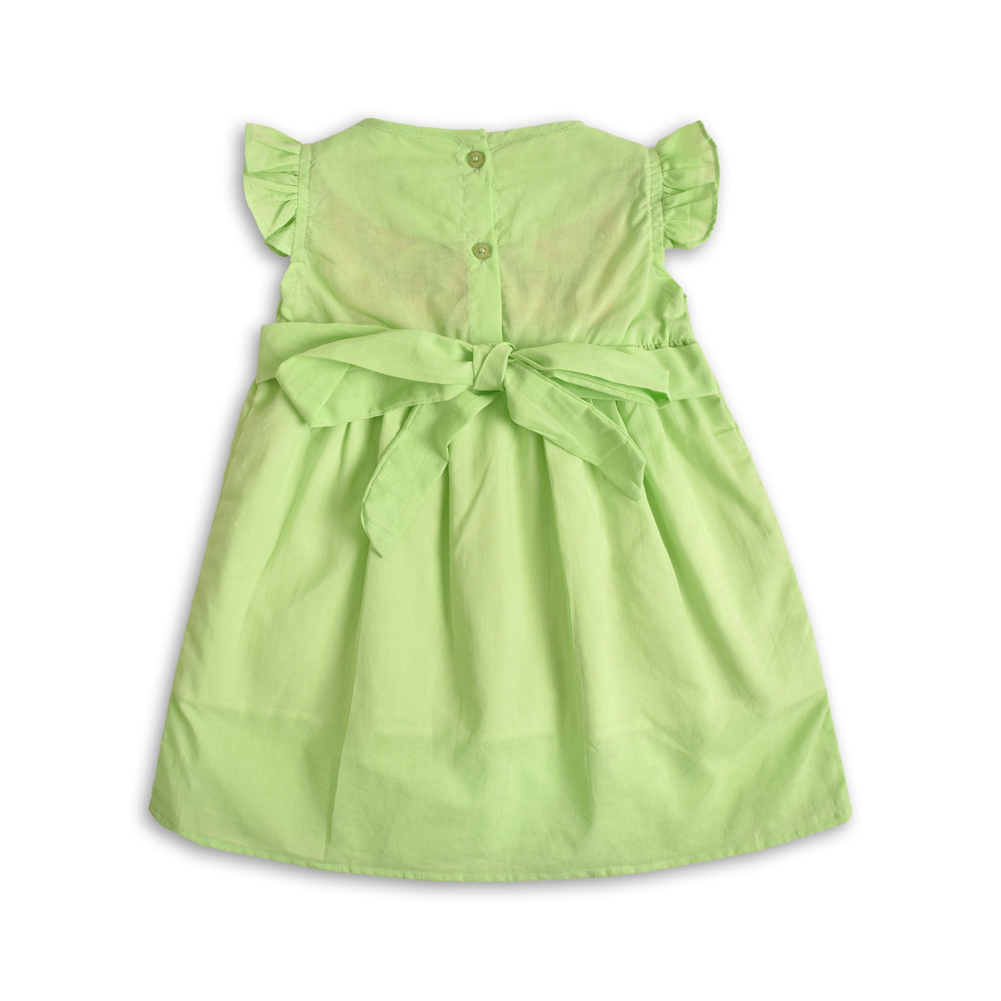 Pastel Green Embroidered Frock