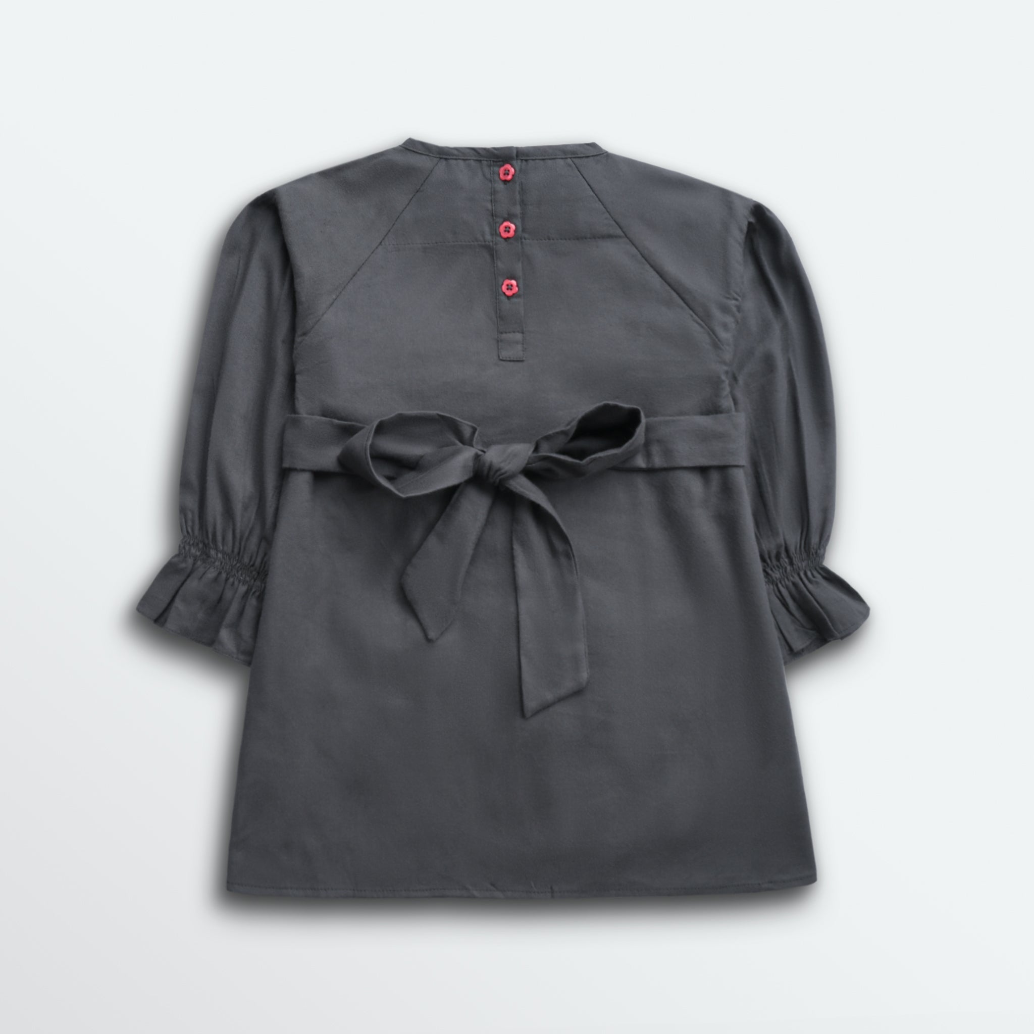 Isabella Smocking Embroidered Dress