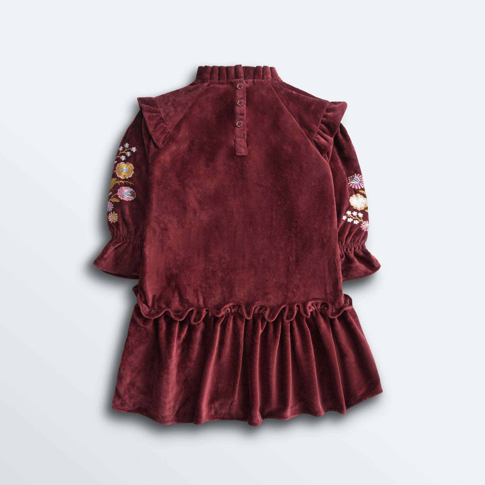 Velvet Embroidered Dress